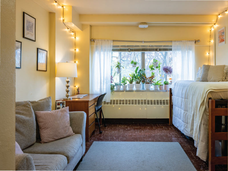 A neat dorm room with one bed and a desk and plants in the window