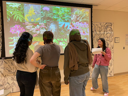 Three undergraduate students with their back to the camera watching another student give another presentation in front of a projector screen. On the screen is photos of plants.